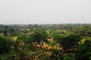 Paysage de brousse en Afrique de l'Ouest (Burkina Faso)