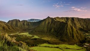 Plaine des palmistes, la réunion