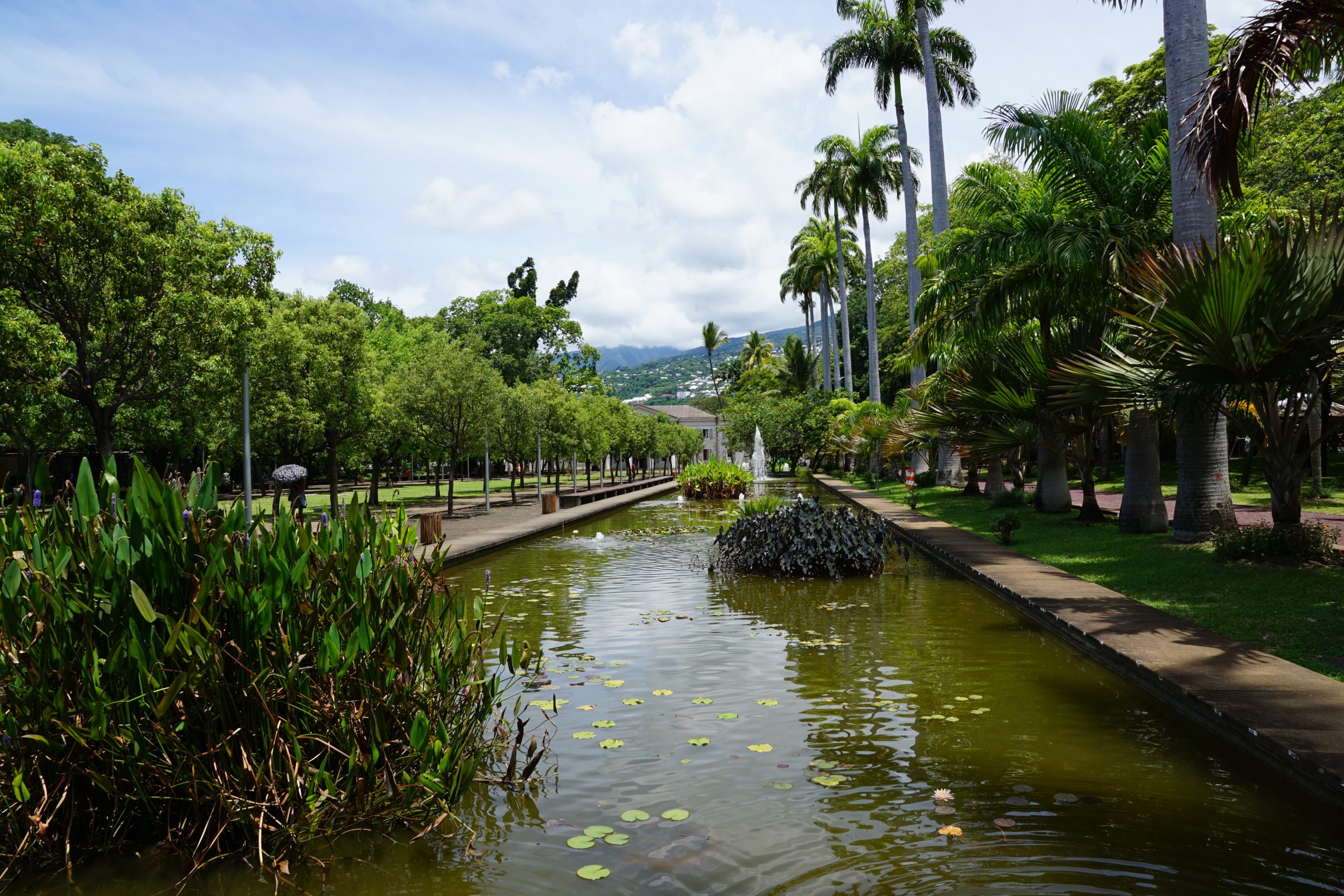 park in saint denis auf la reunion